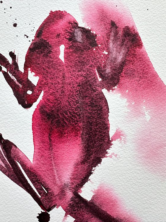 The Frog