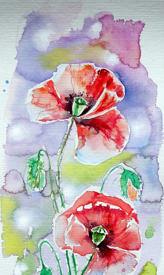Poppies of summer VI
