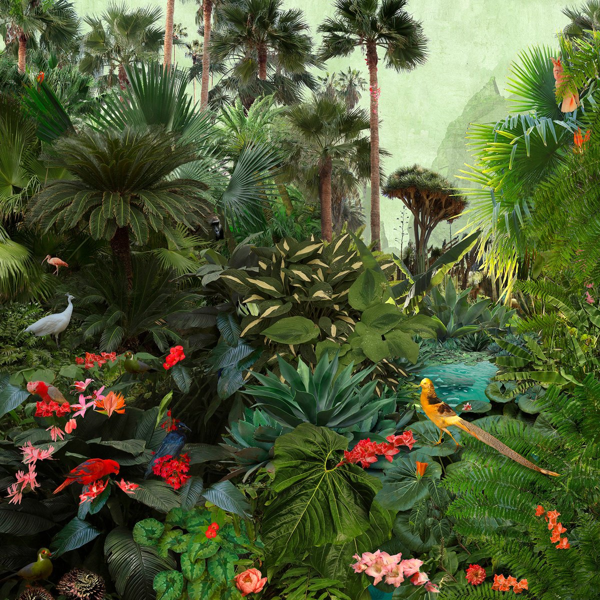 Impressionistic Landscape Photograph By Nadia Attura, 28 X 28", Backwaters Mountain, Original Artwork