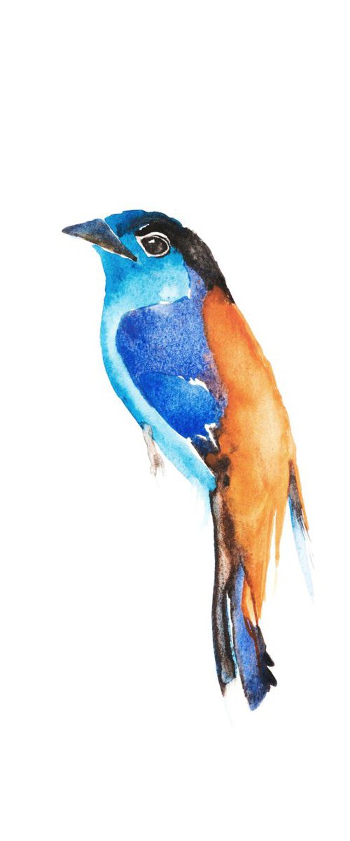 Bird by Nadia Moniatis