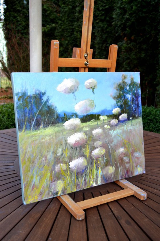 Beautiful wild flowers in the meadow