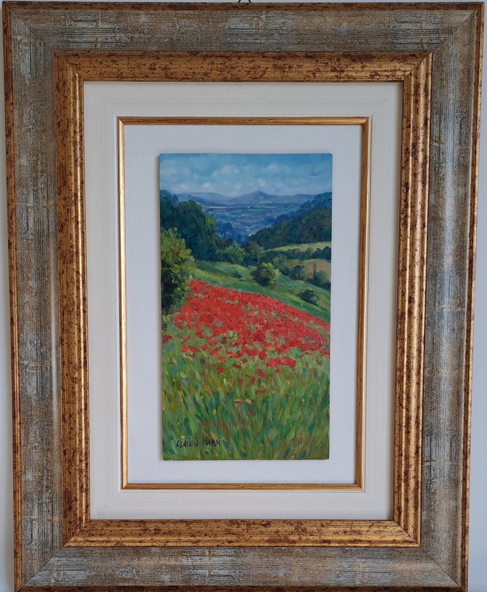 Field of poppies in Tuscany by Claudio Ciardi