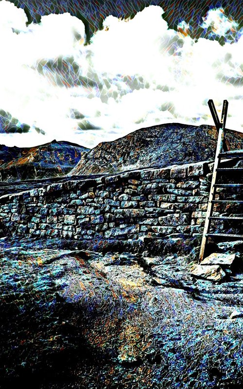 Wall ladder at Grizedale, The Lake District by Tony Roberts