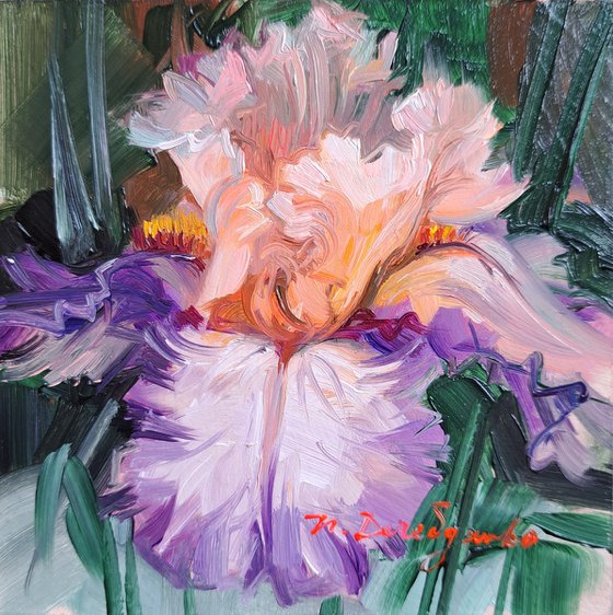 Iris flower painting