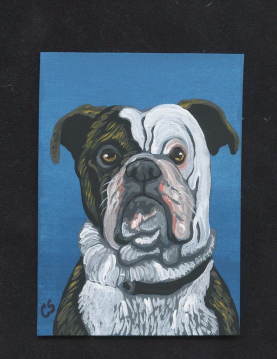 ACEO ATC Original Painting Brindle Olde English Bulldogge Dog Pet  Art-Carla Smale