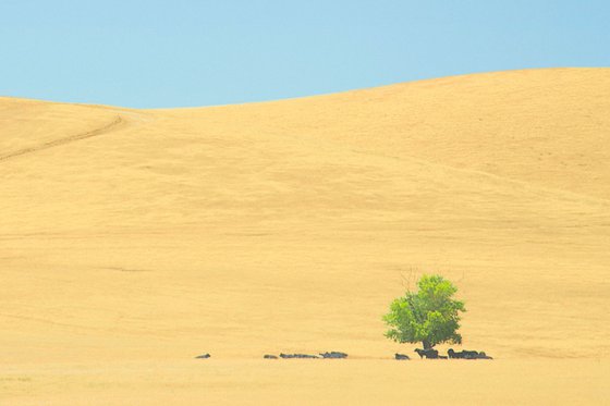 High Noon