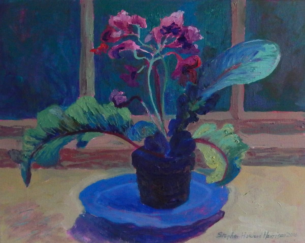 Impressionistic Botanical Oil Painting By Stephen Howard Harrison, 20 X 16", Streptocarpus, Original Artwork