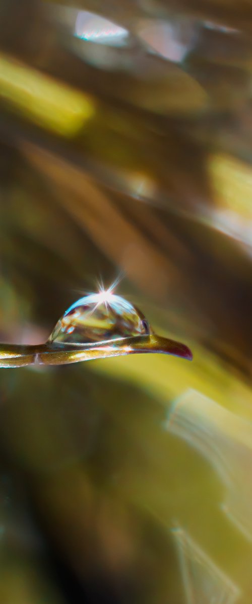 Flight in the rain by Inna Etuvgi