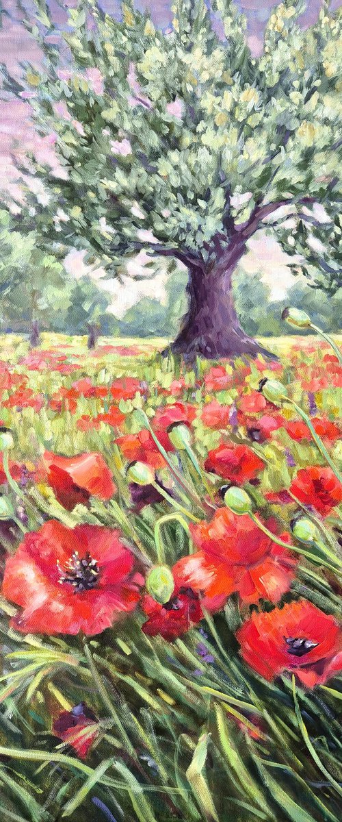 Escape to Poppies Meadow by Tatiana Kyriakidou