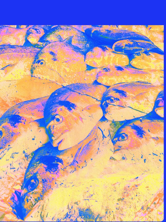Set of 3. Colorful Fishes