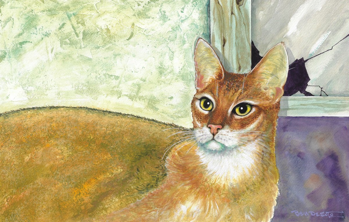 Cat and the Window by Ben De Soto