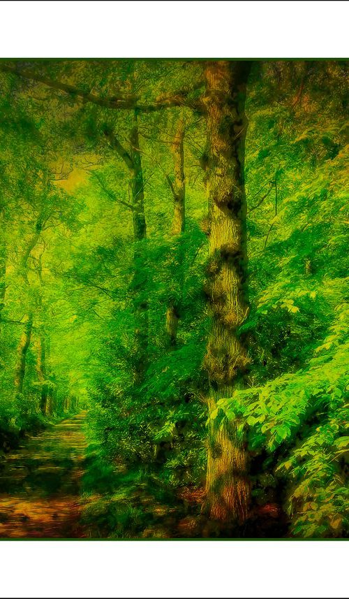 Autumn Road by Martin Fry