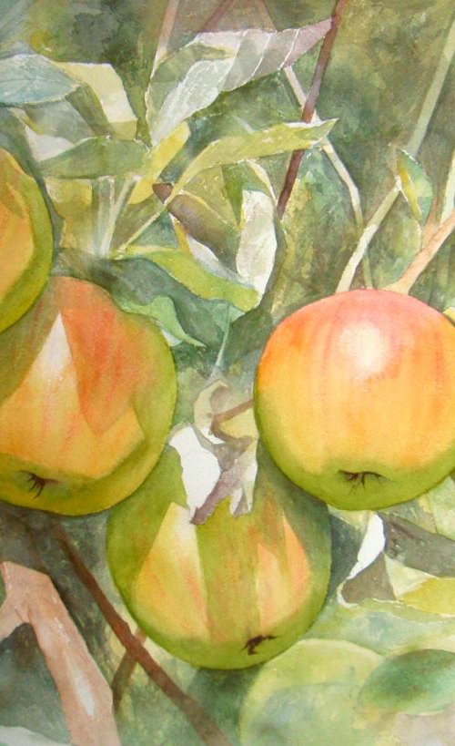Apples by Natalia Salinas Mariscal