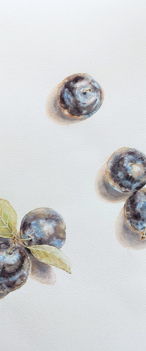 "Plums" by Yana Dulger