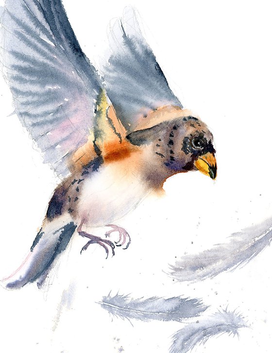 Birds And Feathers - triptych