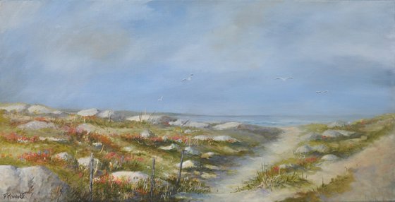The dune in spring