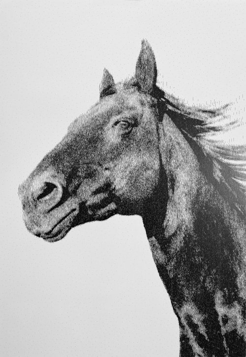 HORSE by Yan Anikev