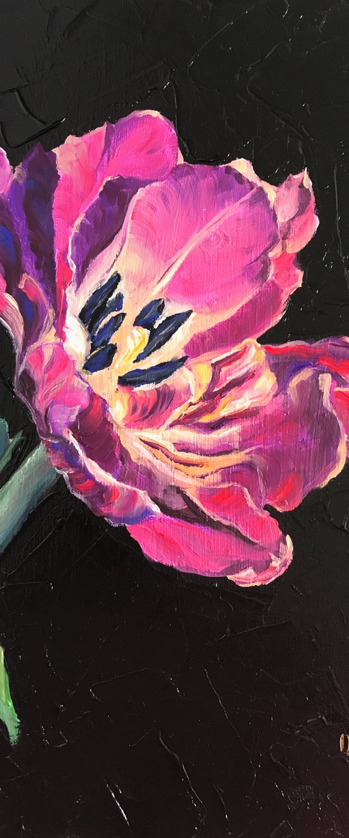 Lilac Tulip by Olga Volna
