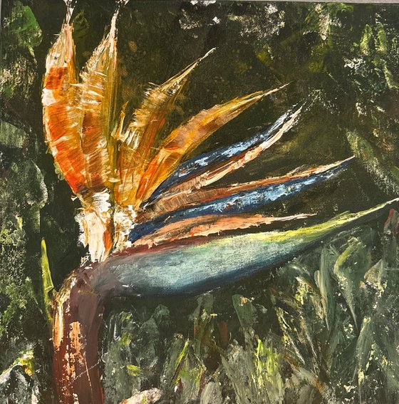 Magical Firebird