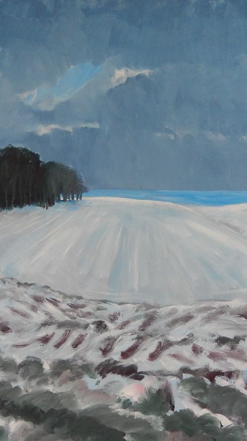 Isolated Trees, Fife by Stephen Howard Harrison