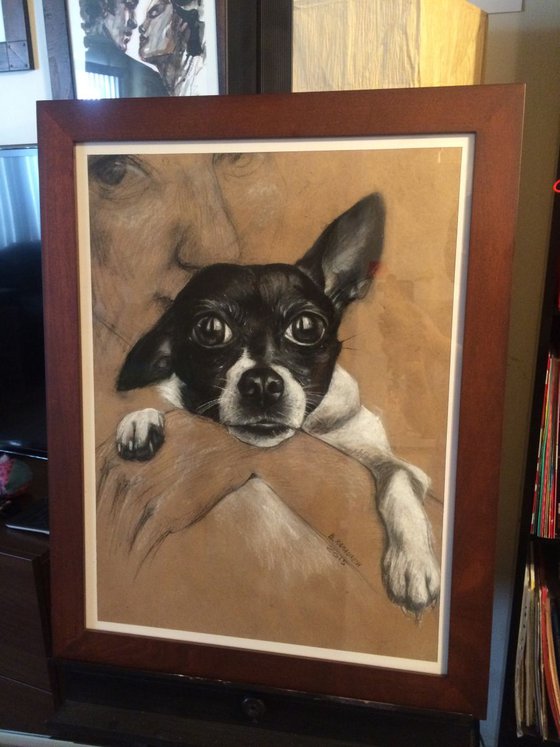 My Little Chihuahua Portrait