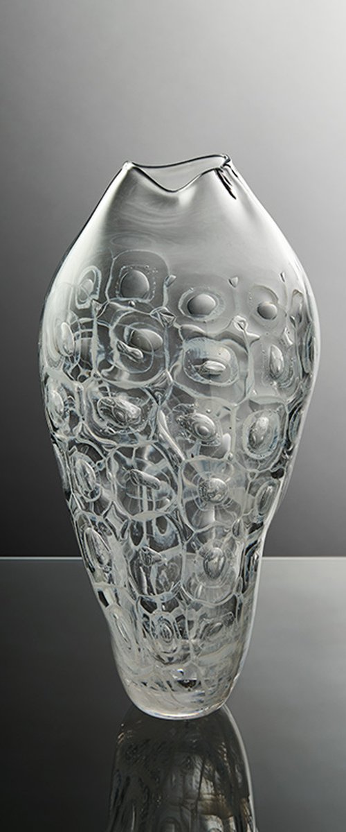 Poifera CA_III by Roberta Mason