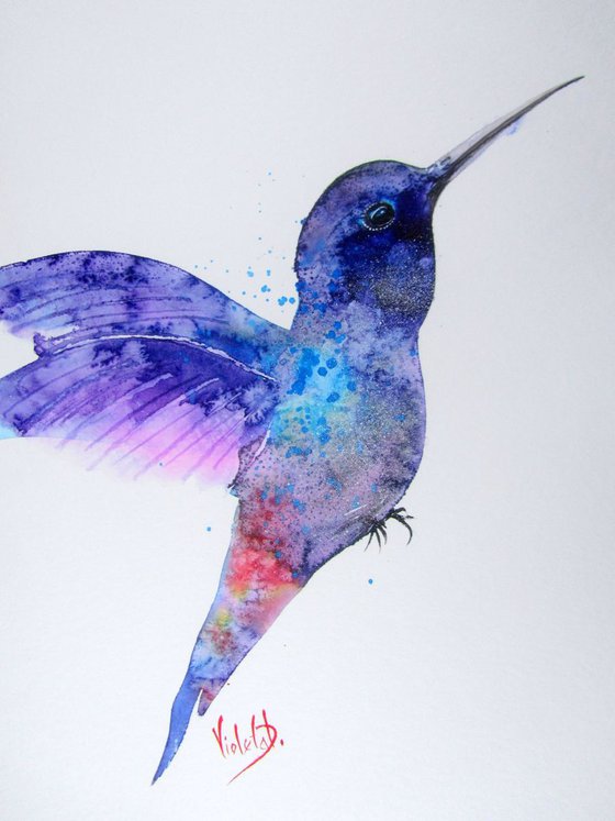 Hummingbird 8