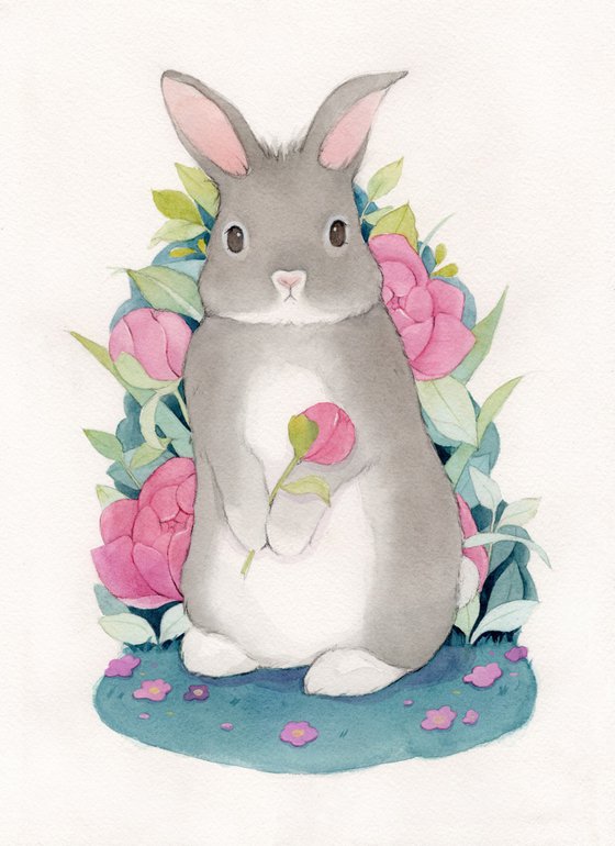 Rabbit in nature