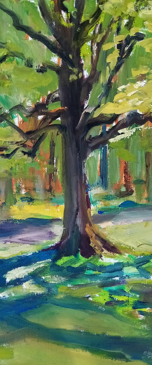 The May Oak tree by Oxana Raduga