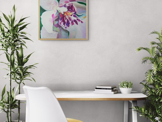 White Bloom IV –Orchid