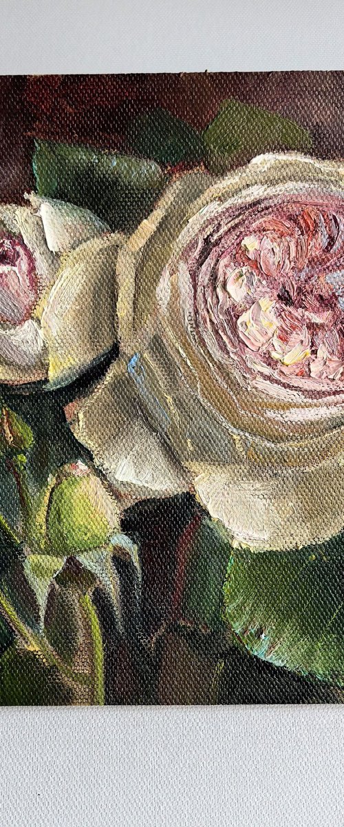 Pink roses still life by Leyla Demir