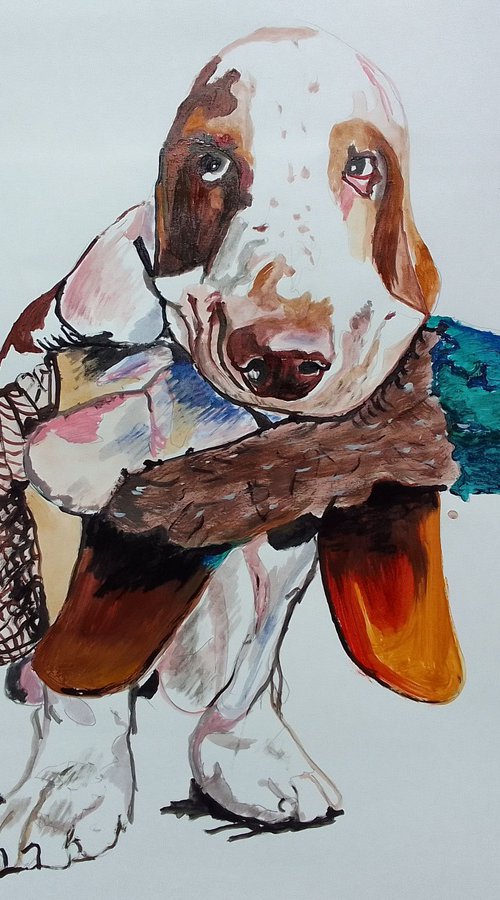 Bassethound by Soso Kumsiashvili