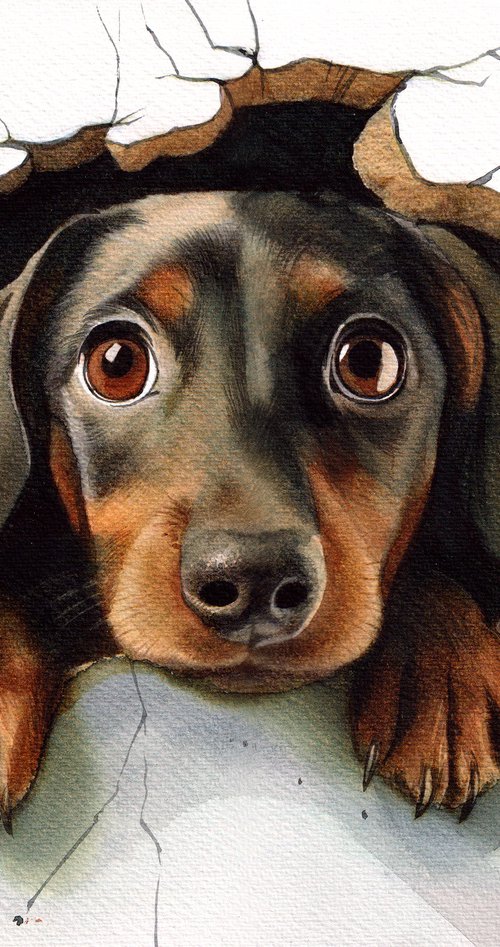 Dachshund by REME Jr.
