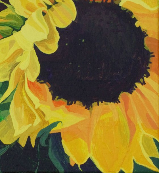 Sunflowers