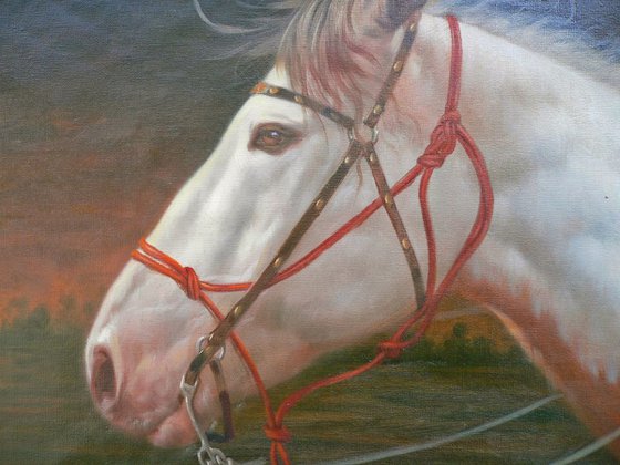 ORIGINAL OIL PAINTING ANIMAL ART HORSE  IN THE SUNSET ON LINEN #16-10-2-05