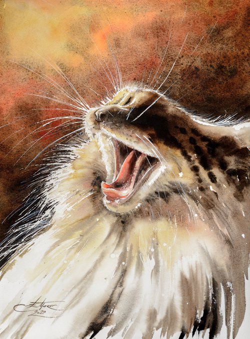 Maine Coon Cat (Passepartout) by Eve Mazur
