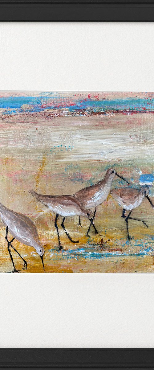 Wading Birds on beach framed by Teresa Tanner