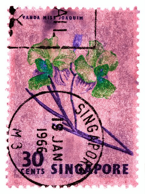 Singapore Stamp Collection '30 Cents Singapore Orchid Pink' by Richard Heeps