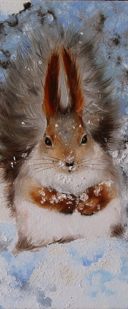 Snowy Squirrel by Natalia Shaykina