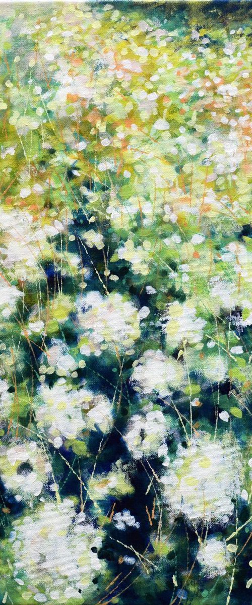 Late Summer Flowers by Marc Todd
