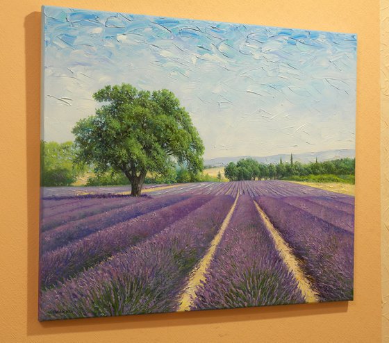 Provence 65x55 cm
