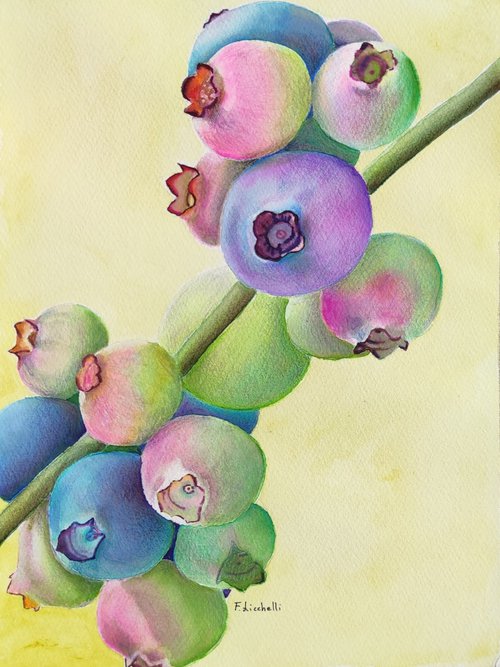 Berries by Francesca Licchelli