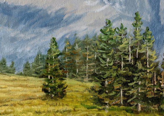 Alpine Pond and Meadow