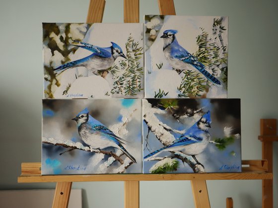 Blue Jay.