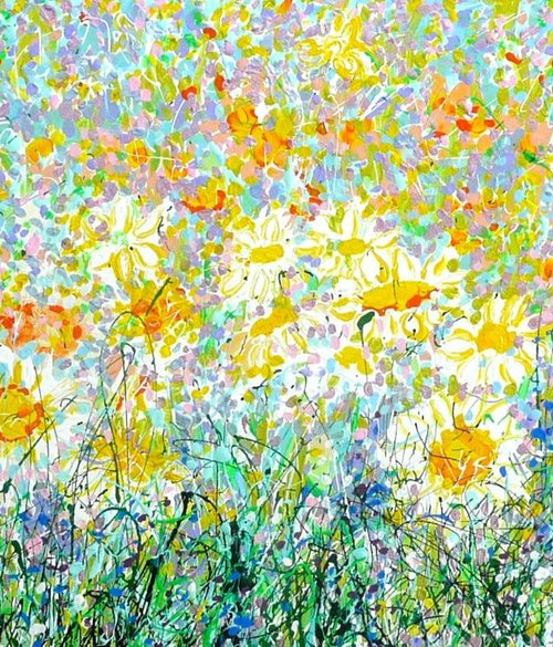 Wild Daisy Meadow 2025 by Lesley Blackburn
