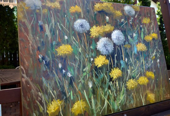 Fragment of a lawn of dandelions