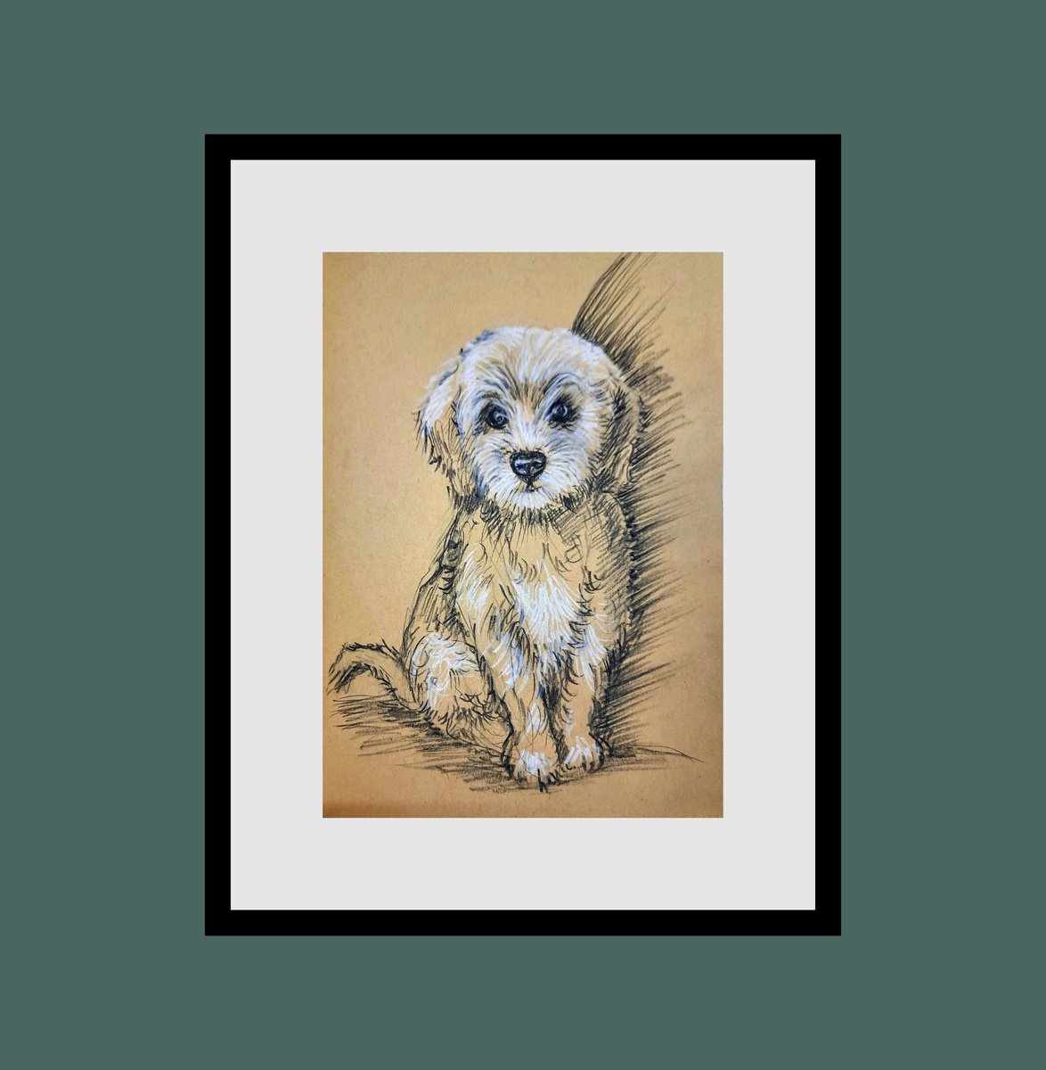 Cute puppy sketch by Asha Shenoy