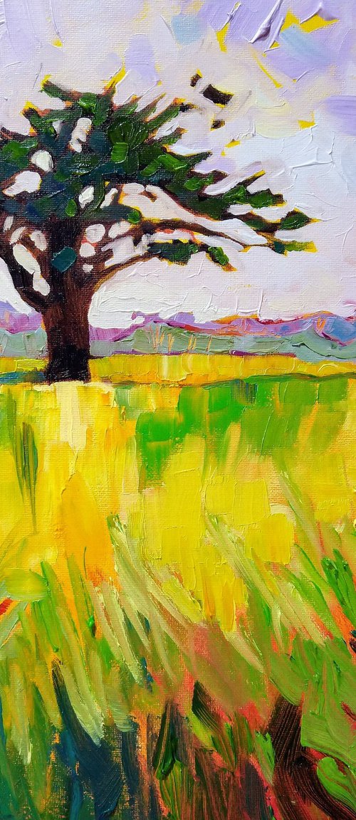 The Windswept Tree by Mary Kemp