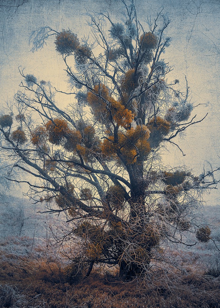 Impressionistic Landscape Photograph By Valerix, 20 X 28", Life Is A Difficult Thing., Original Artwork