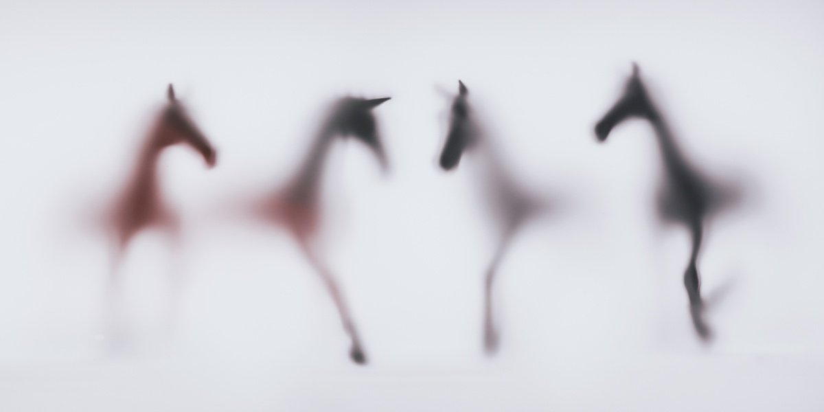 Abstract Animal Photograph By Sven Pfrommer, 55 X 28", Wild Lens - Horses Xi, Original Artwork